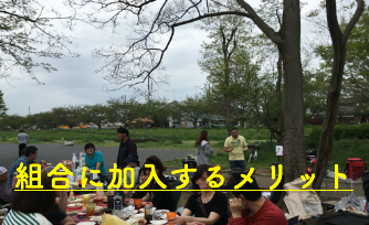 BACKNUMBER